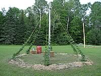 A full view of the Cascade hops circle