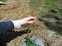 OK, this is how you wind yourself around the twine