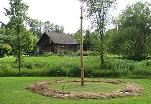 A photo of a hops pole and our yard